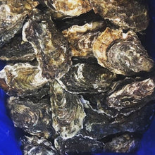 画像をギャラリービューアに読み込む, ばばばスタウト | Oyster Stout - 三陸ビール